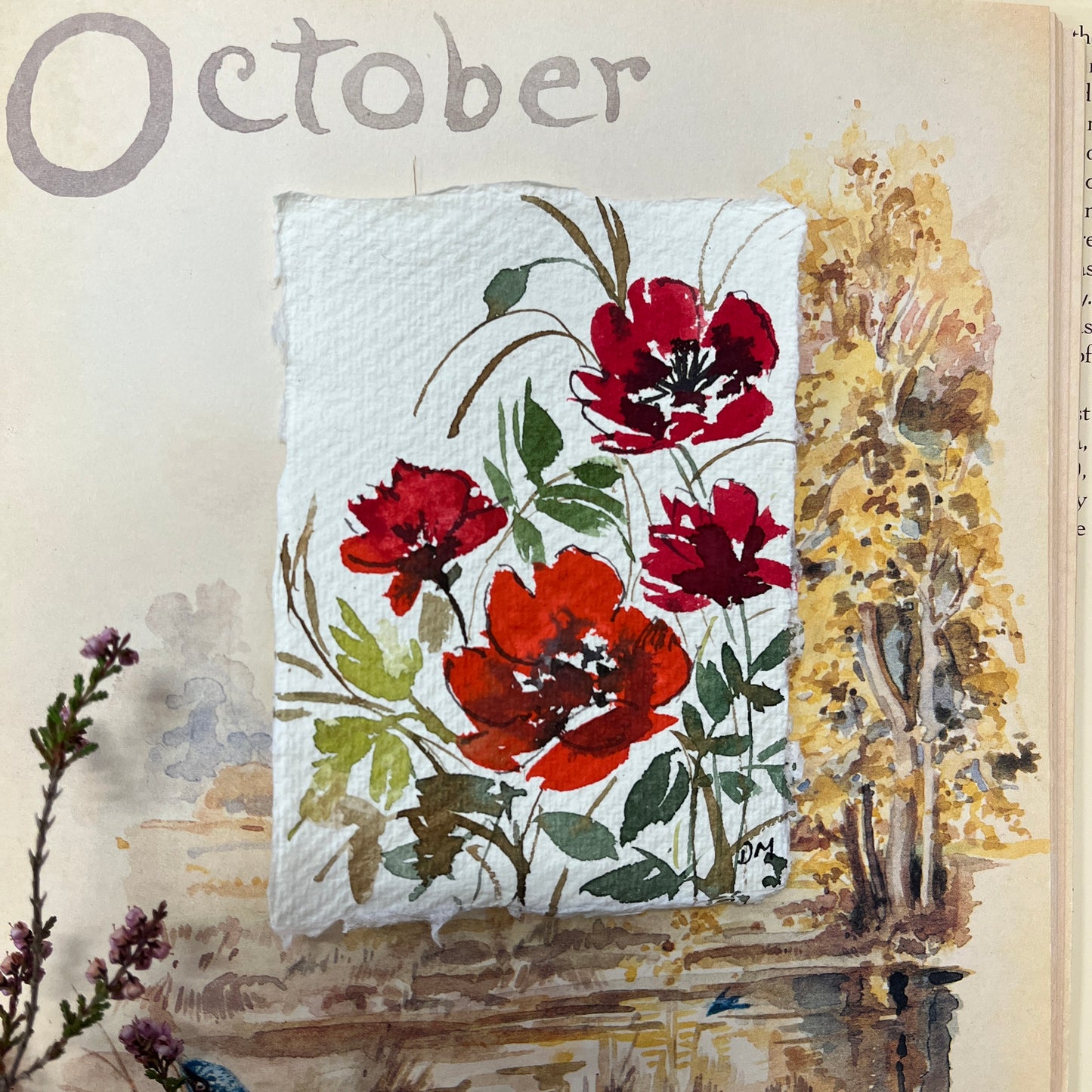 Miniature poppy painting DM16