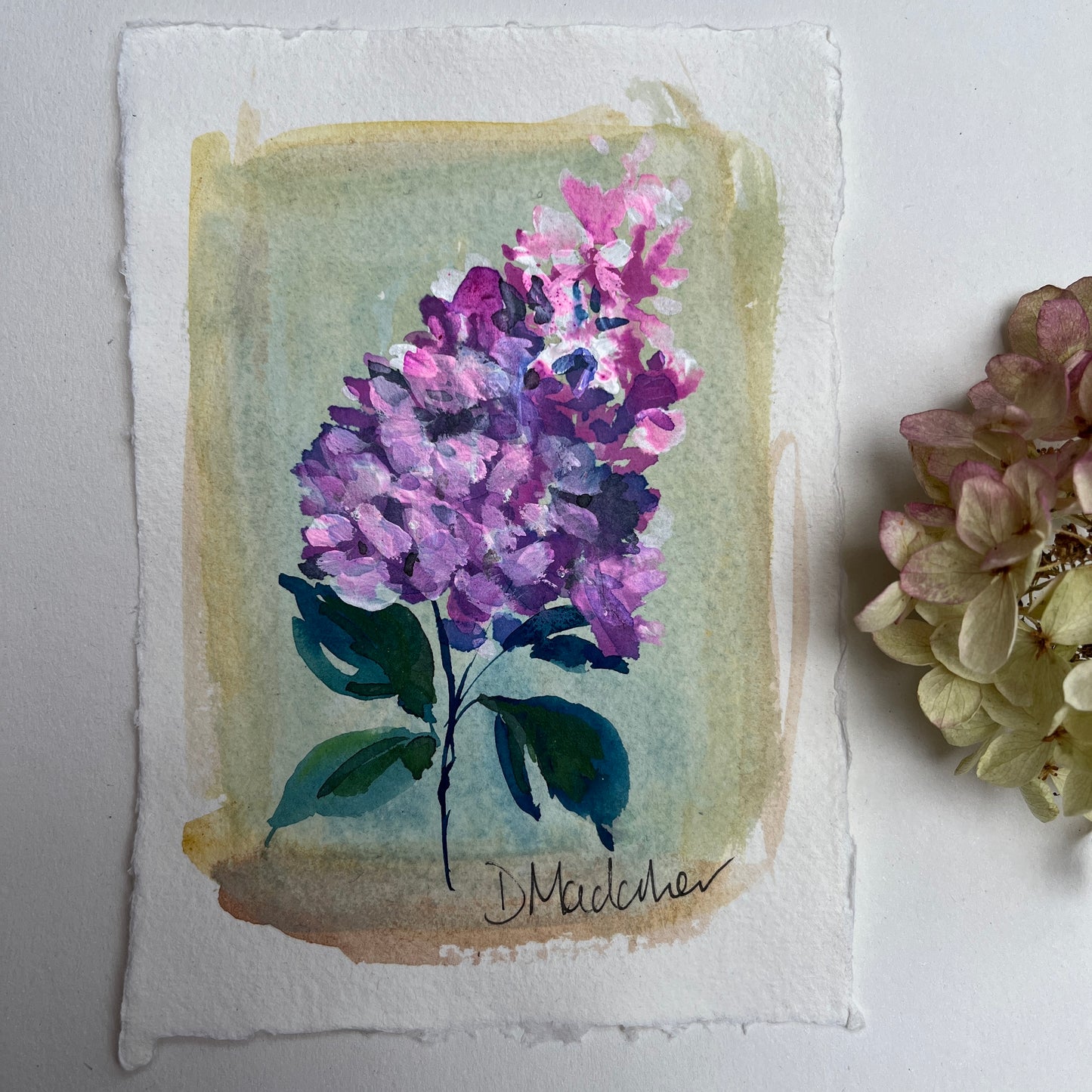 Small Hydrangeas original painting 2310